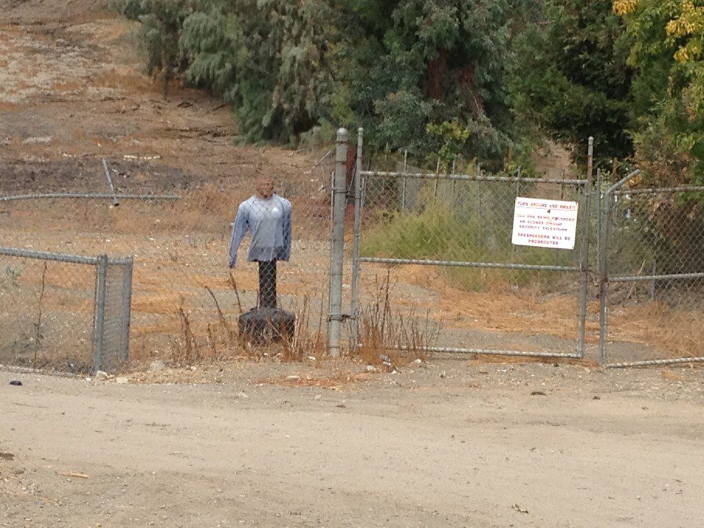 Pet Cemetery