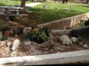 Pet Cemetery