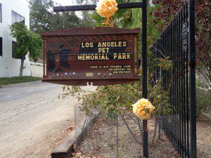 Pet Cemetery