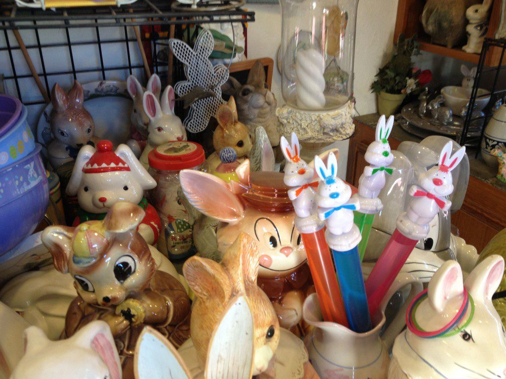 Bunny Museum