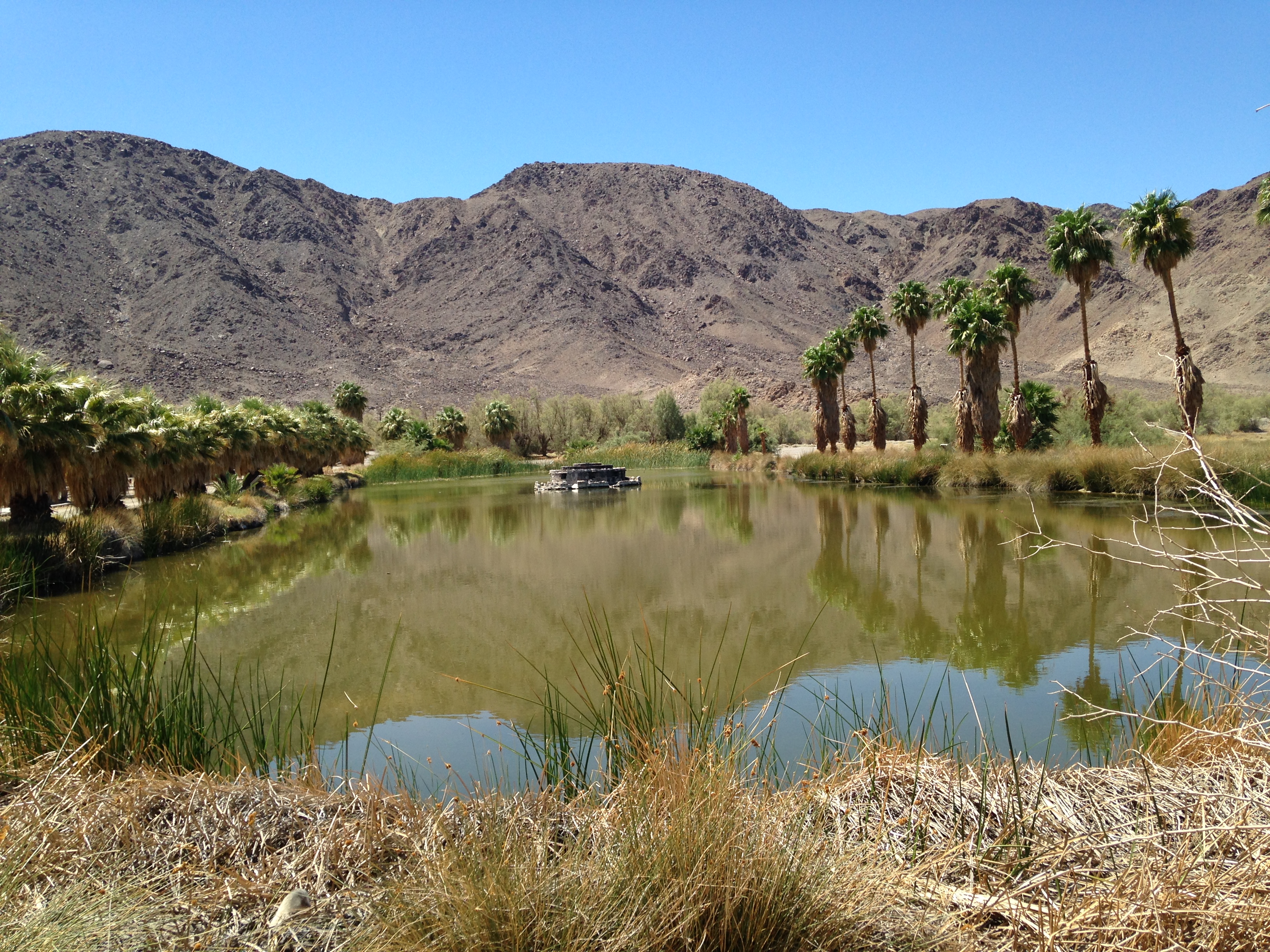 ZZYZX ROAD: A Desert Enigma with a Bizarre Name - California Curiosities