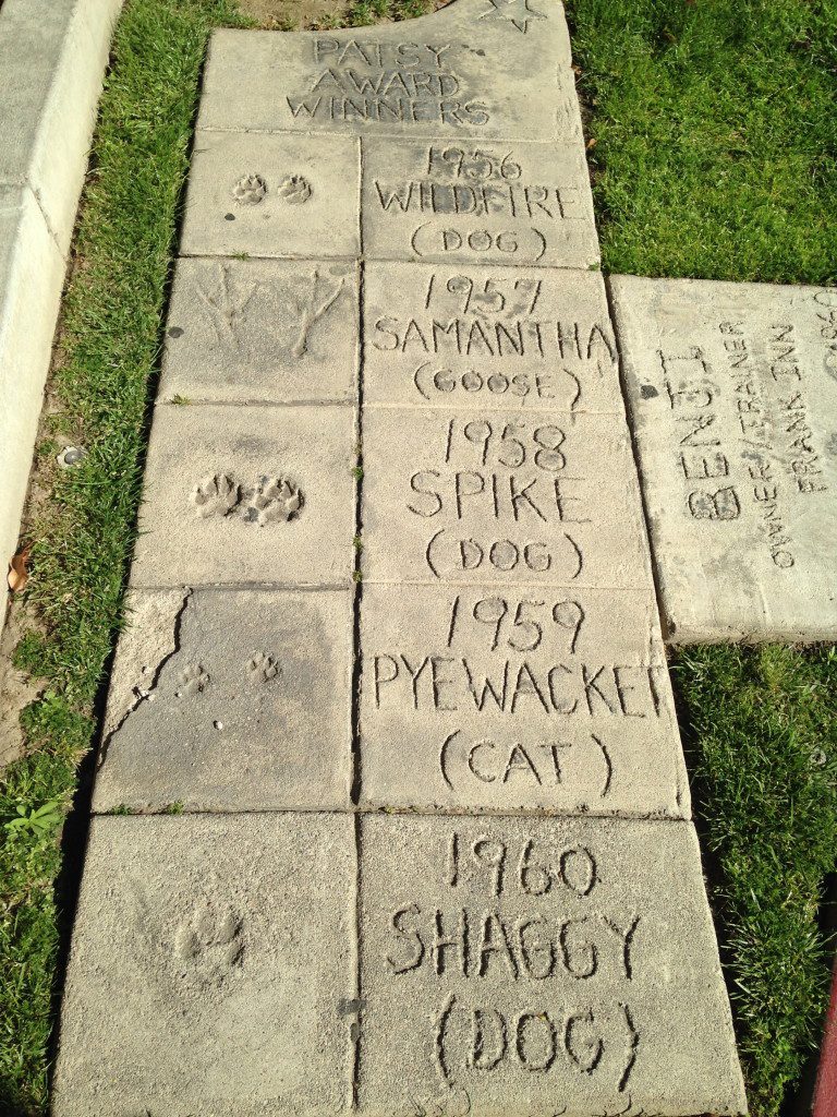 Animal Walk of Fame