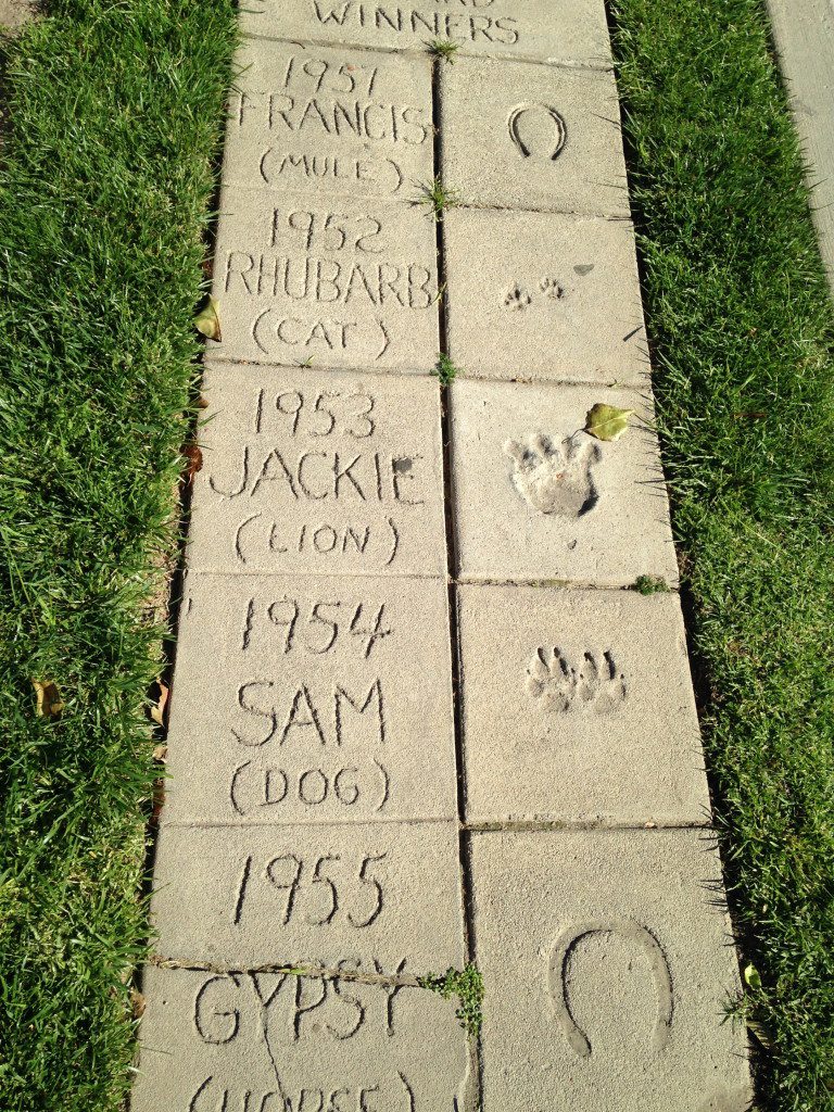 Animal Walk of Fame