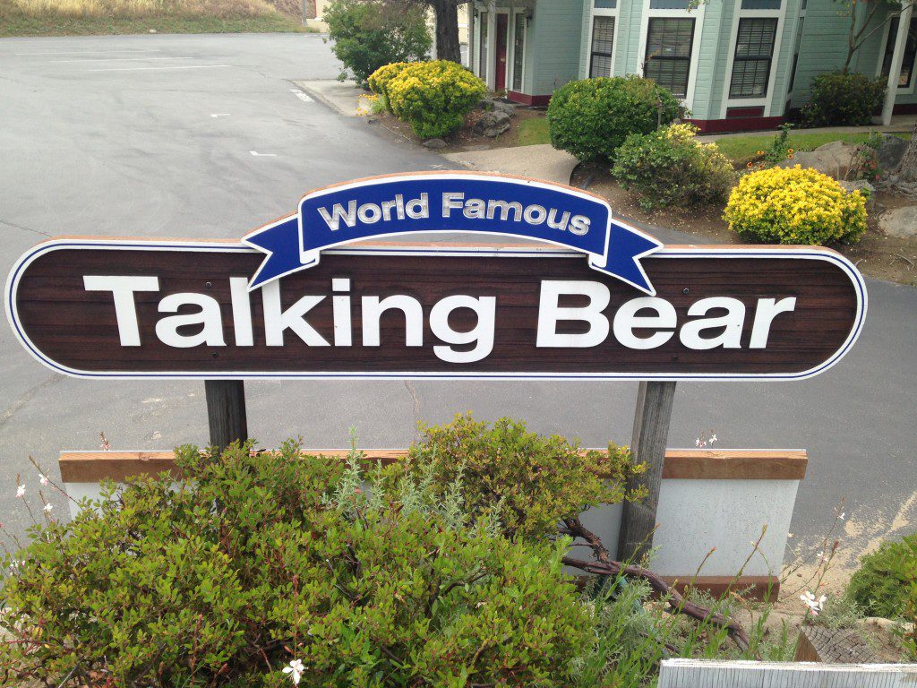 Talking Bear