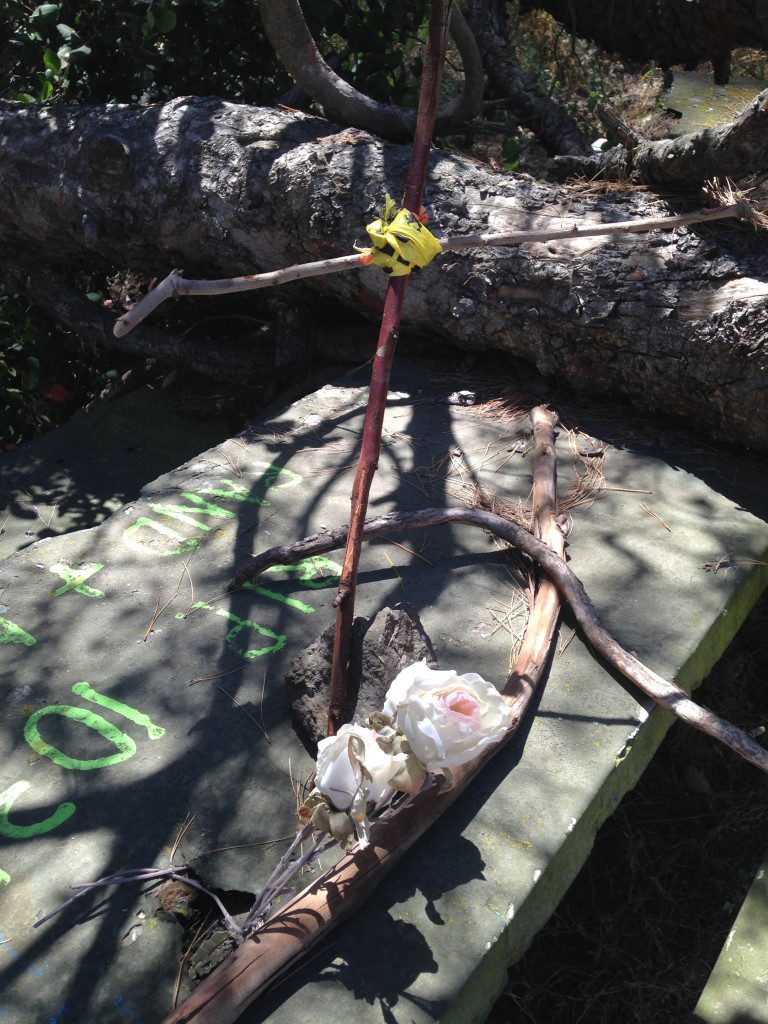 Haunted Picnic Table