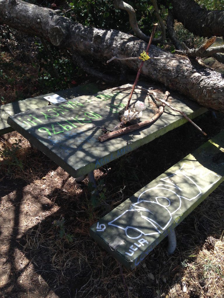 Haunted Picnic Table