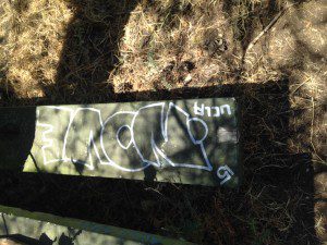 Haunted Picnic Table