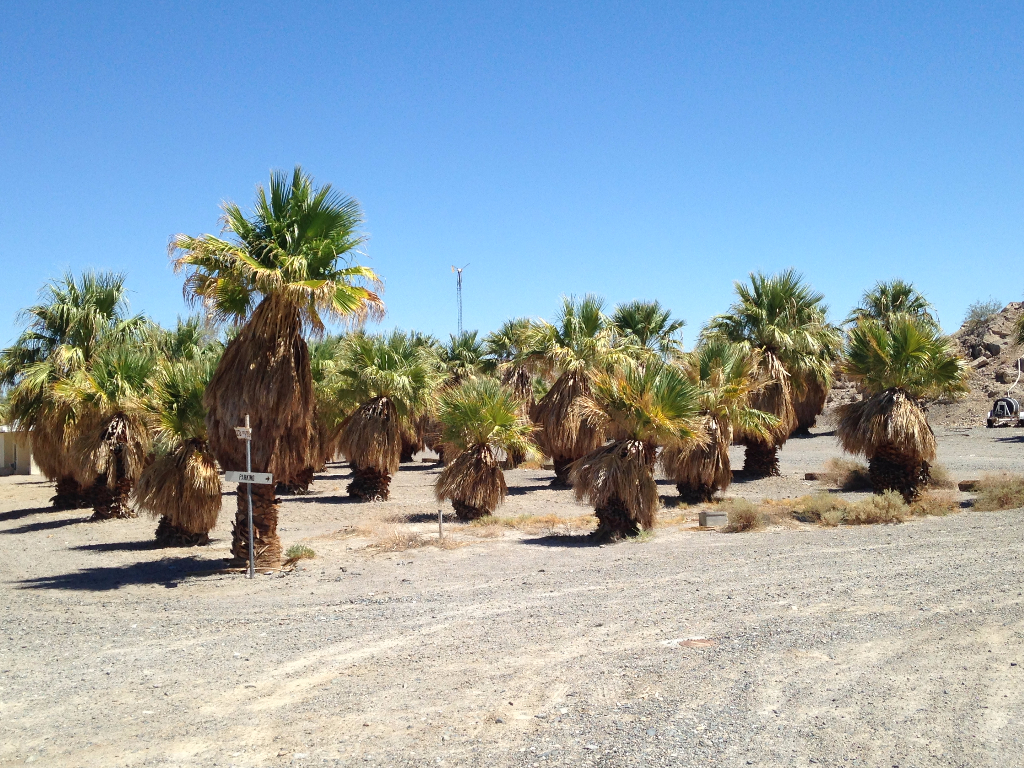 ZZYZX ROAD: A Desert Enigma with a Bizarre Name - California Curiosities